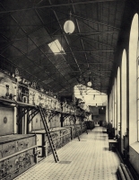 Раушская электростанция